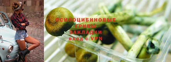 индика Горняк