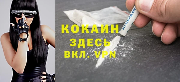 индика Горняк