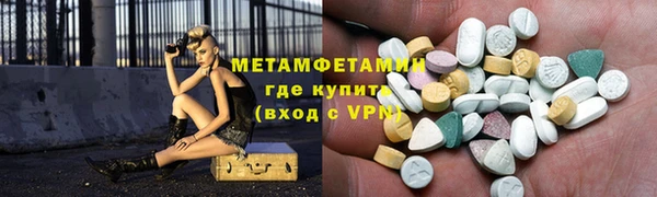 индика Горняк