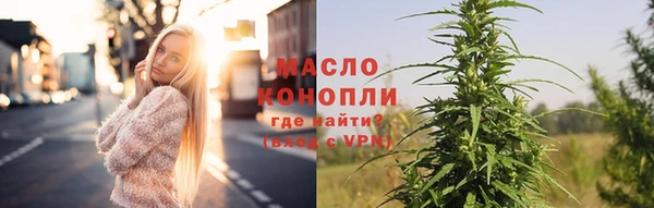 индика Горняк