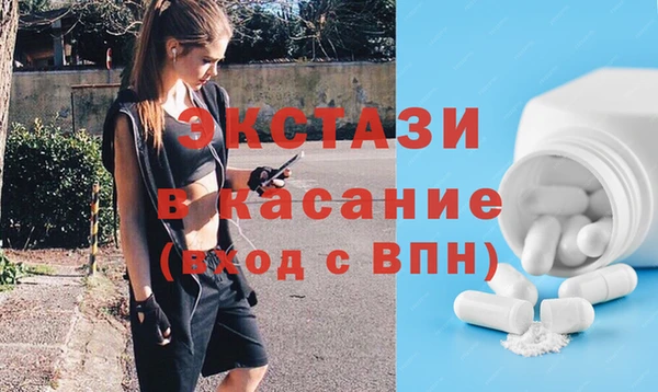 индика Горняк