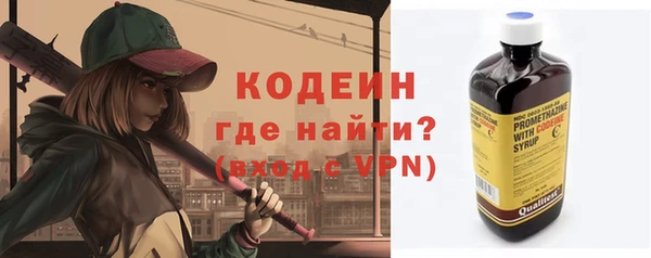 индика Горняк