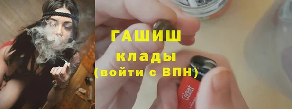 индика Горняк