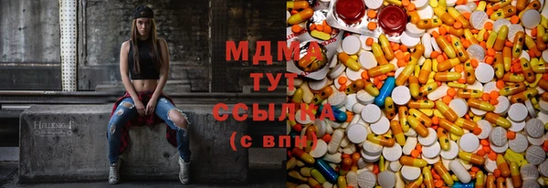 индика Горняк