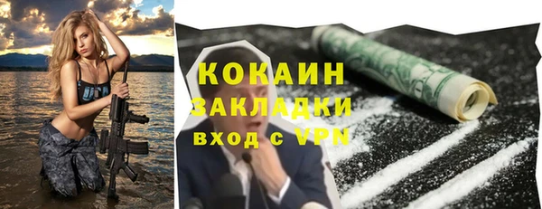 индика Горняк