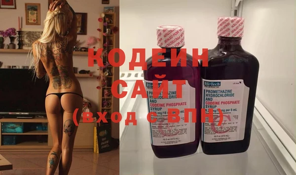 индика Горняк