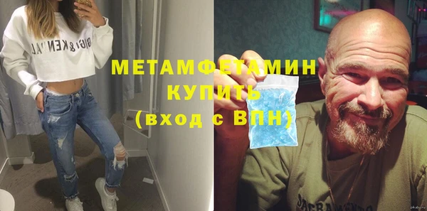 индика Горняк