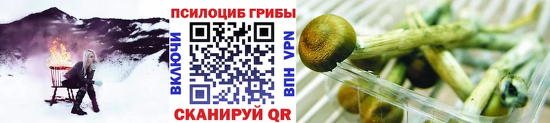 Псилоцибиновые грибы Magic Shrooms  где купить наркотик  Иваново 